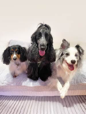 サロン内観 施術用ベッド